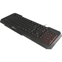 Клавиатура игровая Genesis RX11 (NKG-0765) фото 2